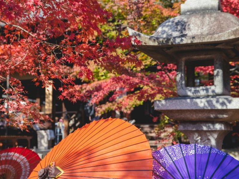 لمسات بسيطة في ديكور منزلك استعدادًا لفصل الخريف