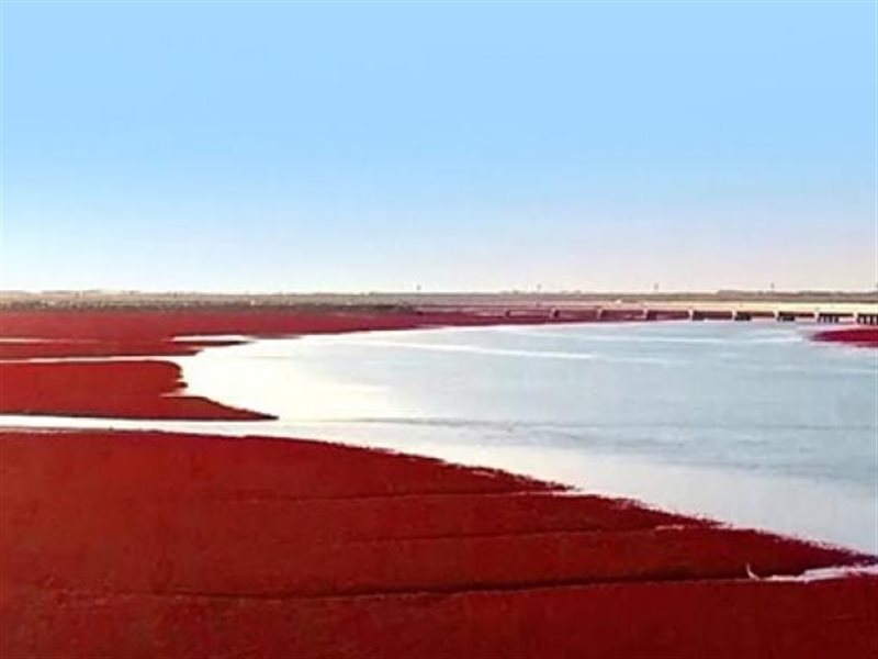 تعرف على أماكن السياحة في الصين 