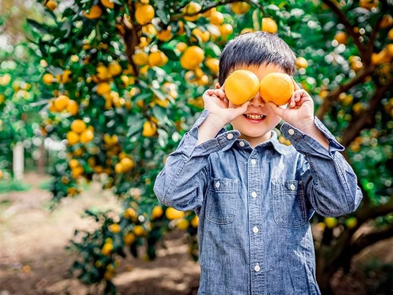فوائد فيتامين سي في تقوية مناعة الأطفال.. تعرف على أهم مصادره 