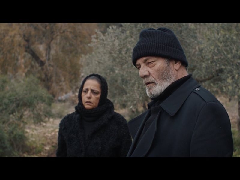 الفيلم الفلسطيني 