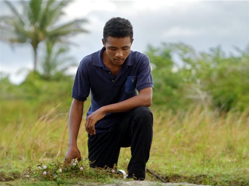 اليوم.. عرض فيلم 