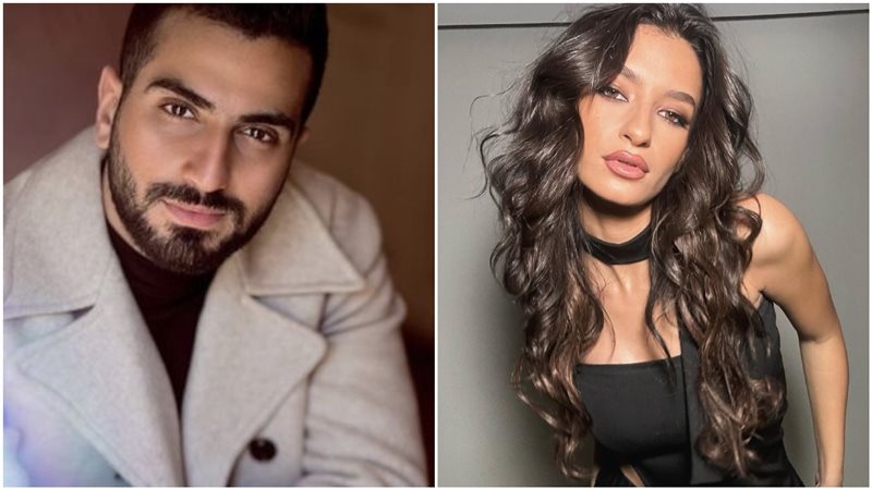 الفنانة أميرة أديب