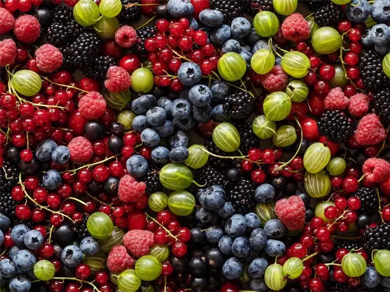 فوائد متعددة لعصير التوت.. كيف يساعدك في حرق الدهون؟ 