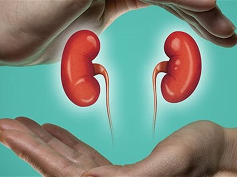 لتجنب المضاعفات.. ضوابط لصيام مرضى الكلى 