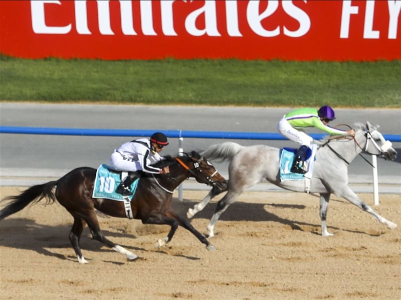 فيرست كلاس يعود للتألق ويكتب صفحة جديدة في تاريخ كأس دبي كحيلة كلاسيك