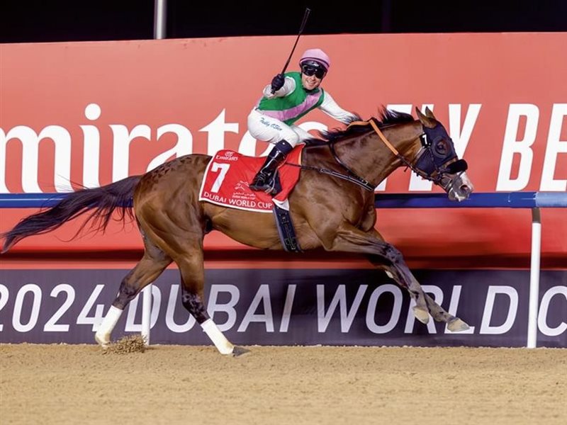 انطلاق النسخة الـ29 من كأس دبي العالمي للخيول 2025 بجوائز قياسية تصل لـ 30 مليون دولار