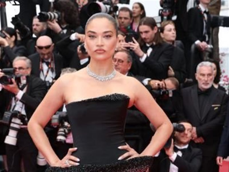 أورفاشي راوتيلا وروبرت دي نيرو وشانينا شايك.. وصول عدد من المشاهير إلى السجادة الحمراء في مهرجان كان