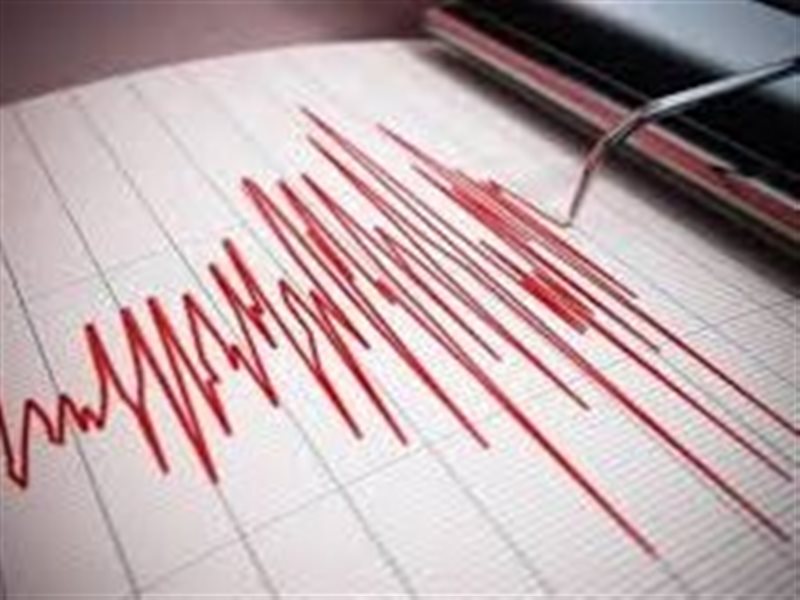 هزة أرضية أثارت قلق المواطنين.. نصائح يجب اتباعها في حال حدوث زلزال