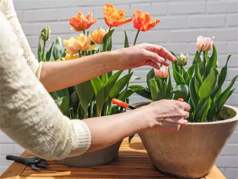 5 علامات خفية تشير إلى أنك تتقدم في السن بشكل جيد 