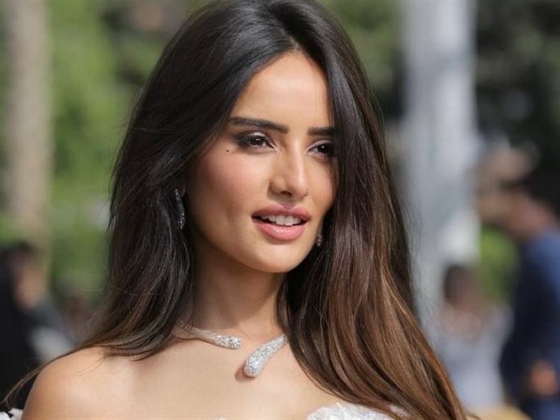 منهم بنات الباشا وورد وشوكولاتة.. 3 أعمال تنتظرها زينة 