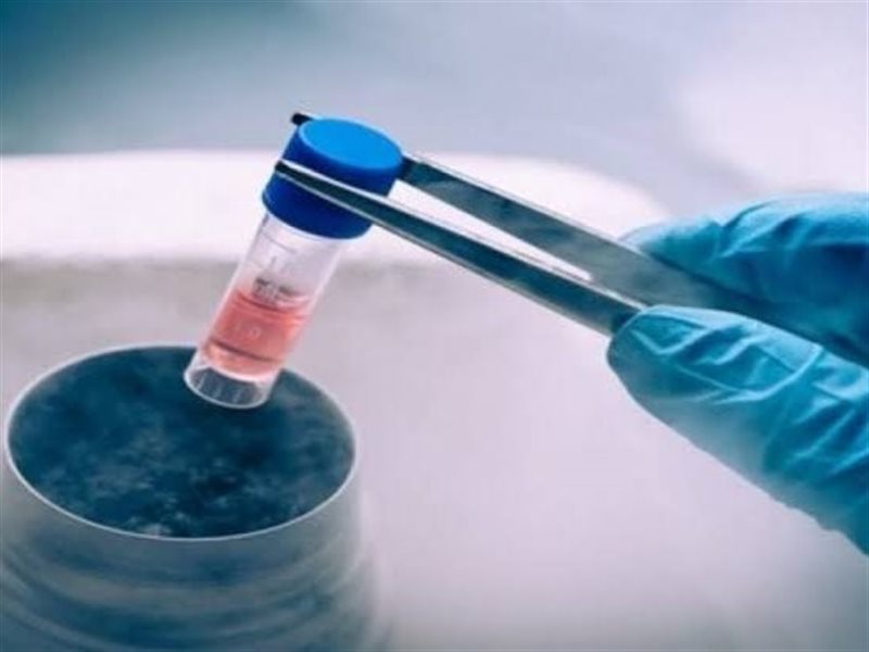 تجميد البويضات: خيار طبي حديث يغيّر معادلة الخصوبة والاختيارات الشخصية