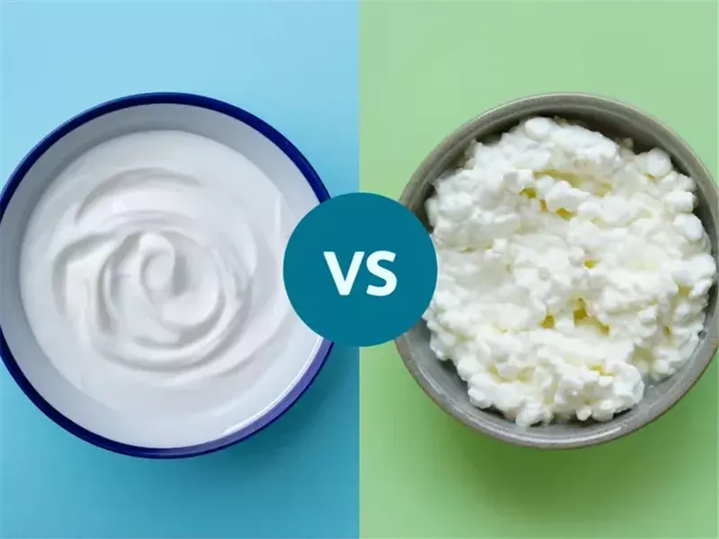 الجبن القريش أم الزبادي اليوناني.. أيهما أفضل كوجبة خفيفة غنية بالبروتين؟ 