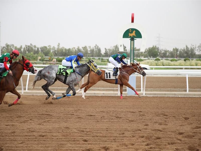 السعودية تبرز تميزها الإقليمي بتنظيم سباقات خيل طوال العام في موسم الطائف 2025