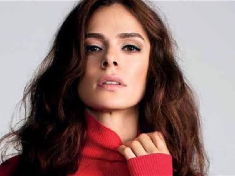 أوزغه أوزبيرينتشجي وصالح بادمجي يجتمعان في مسلسل جديد 