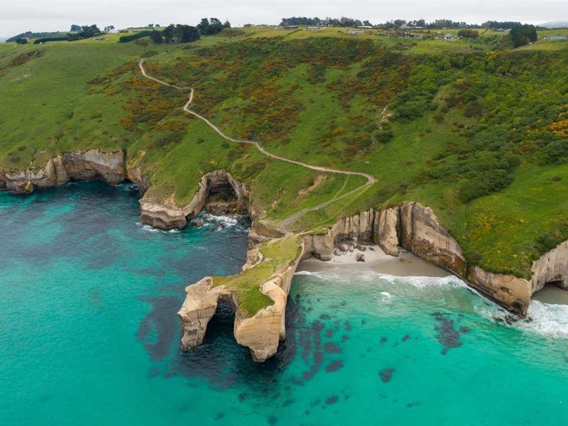   الشفق القطبي والبطاريق والأنفاق المائية .. لا شيء مما يمكنك مشاهدته في دنيدن