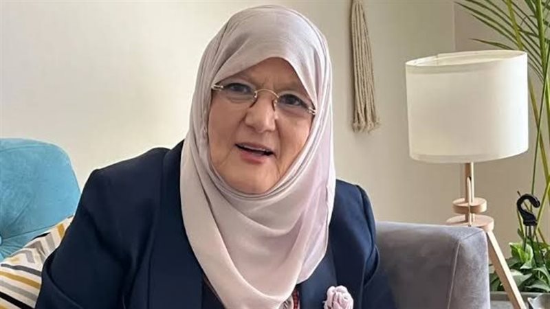 شمس البارودي
