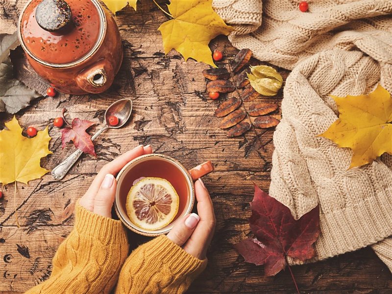 ابدأ الخريف بصحة أفضل.. خمس نصائح لتحسين لياقتك البدنية والمناعة