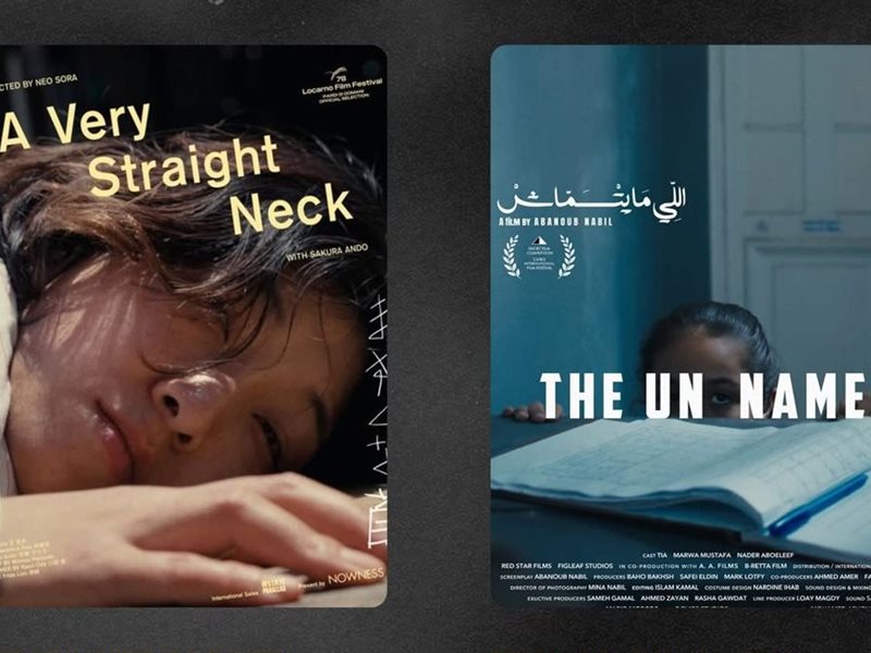 قائمة الأفلام القصيرة المشاركة في مهرجان القاهرة السينمائي 2025