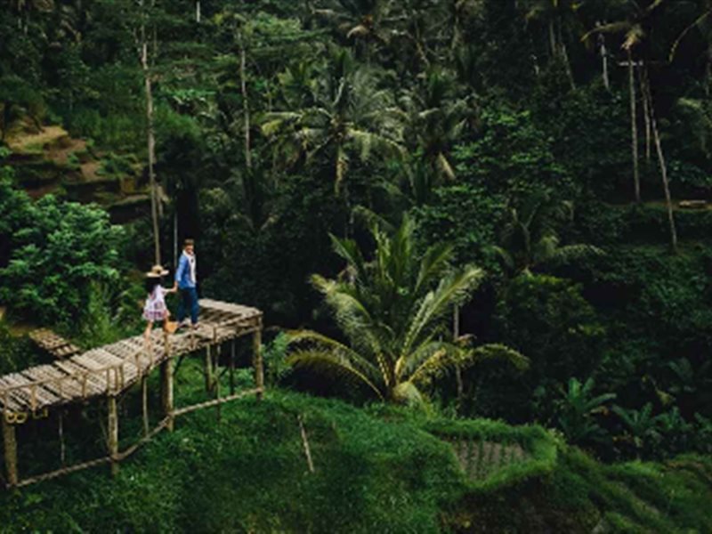 أشياء للقيام بها في أوبود ستقنعك بزيارة بالي