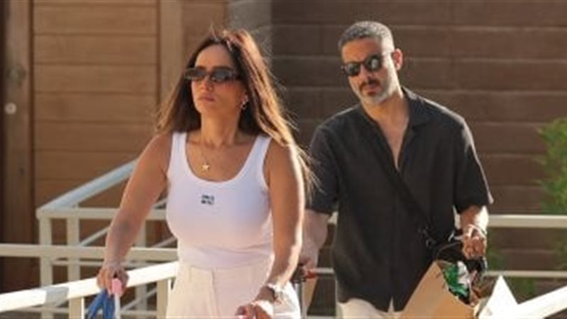 محمد فراج وزينة