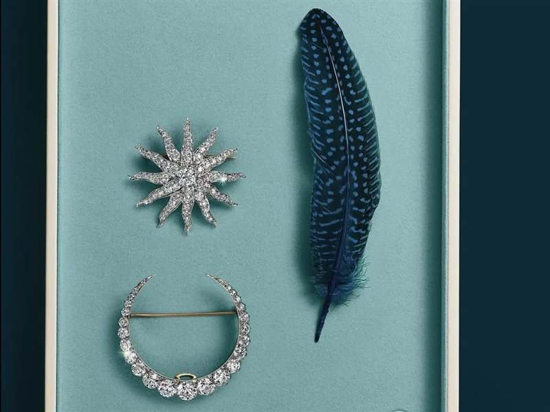 تعاون غير مسبوق: تيفاني آند كو تستلهم من رواية “فرانكشتاين” لتحويل الأدب إلى مجوهرات فخمة