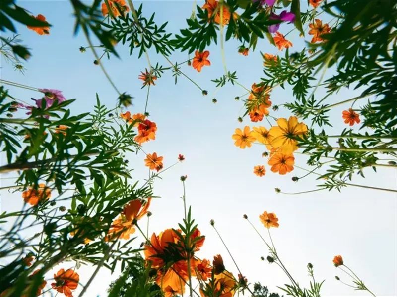 طرق بسيطة لتحويل يومك الممل إلى يوم أكثر بهجة وإشراقًا