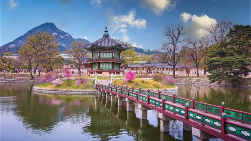 كوريا الجنوبية 