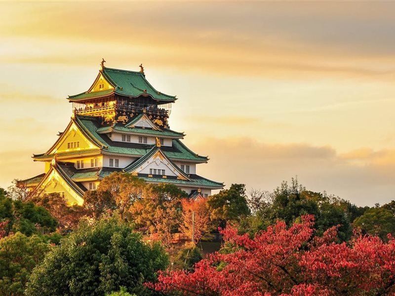 من قلاع الساموراي إلى المعابد العريقة: أوساكا تكشف كنوزها