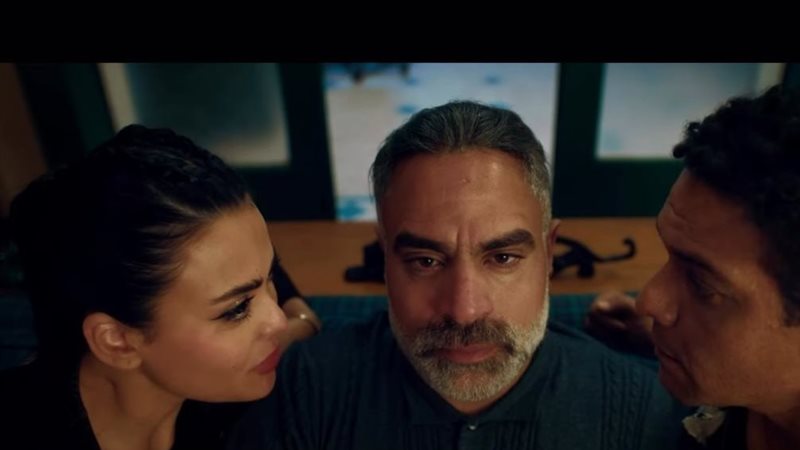 ان غاب القط