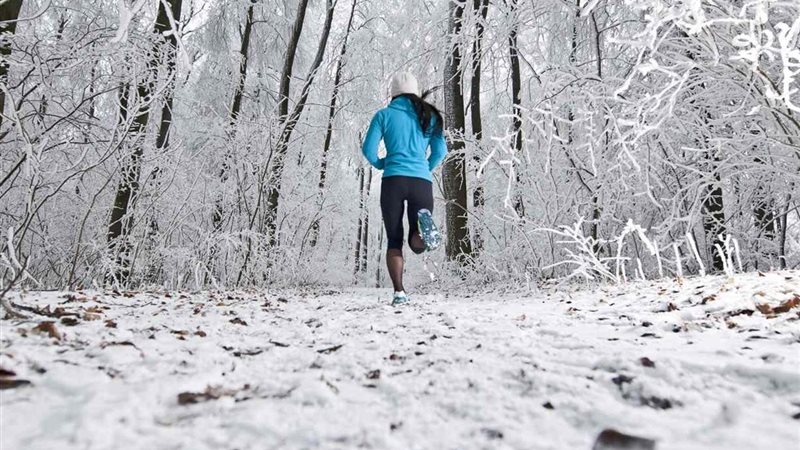 الطقس البارد