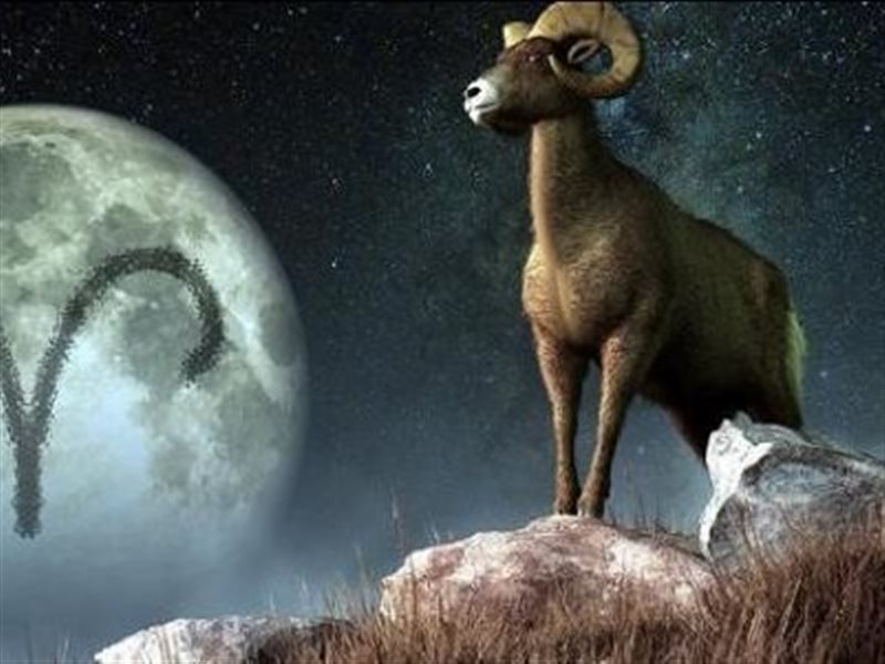 أهم صفات ومميزات مواليد برج الجدي